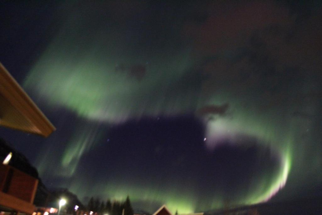 Hotel Austur Reydarfjordur Экстерьер фото